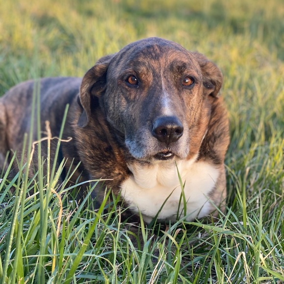 Meet your Posher, Caitlin - Picture 7 of 12